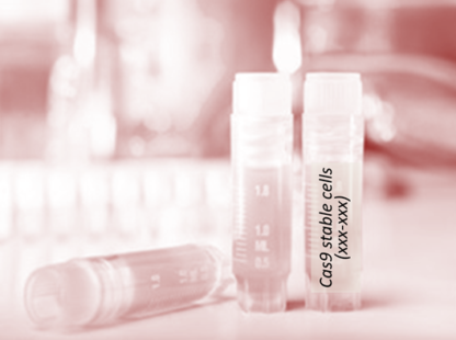 Cas9 Stable Cell Line (H22)