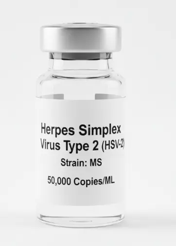 Herpes Simplex Virus Type 2 Strain: MS [50,000 cp/mL]