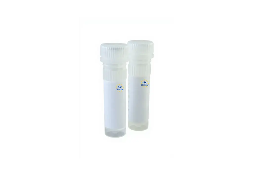  qmax green with non reactive blue tracking dye high rox qpcr mix 5000 reactions