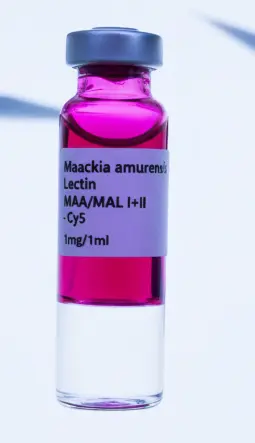 Maackia amurensis Lectin [MAA/MAL II], Cy5, 1 mg