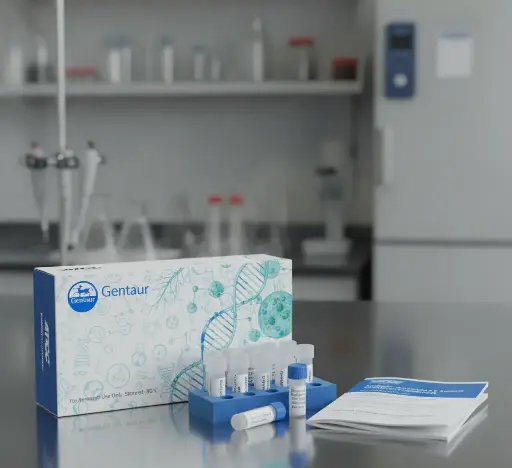 [0774-1082-10] GV3101 Chemically Competent Agrobacterium, 10x50ul